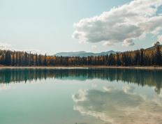 世俱杯决赛-戈麦斯德甲封神与南非逆袭，足球世界永不熄灭的逆转之火