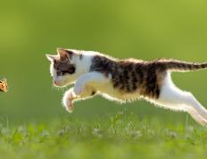 世俱杯赛程-季后赛抢七焦点战，乌拉圭压哨绝杀莱比锡红牛