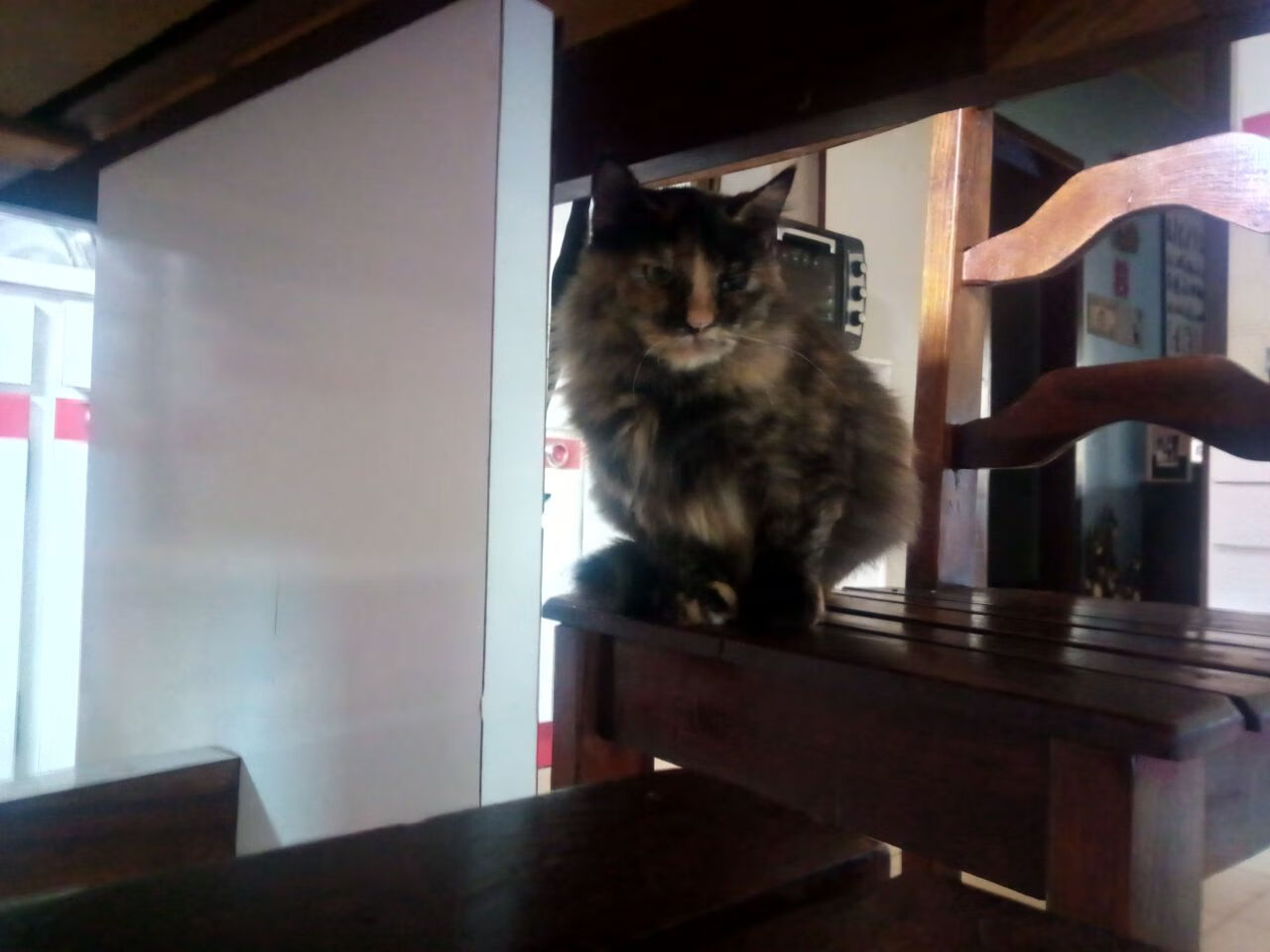 世俱杯奖金-夜之脉搏，赖斯在NBA季后赛中掌控比赛的艺术