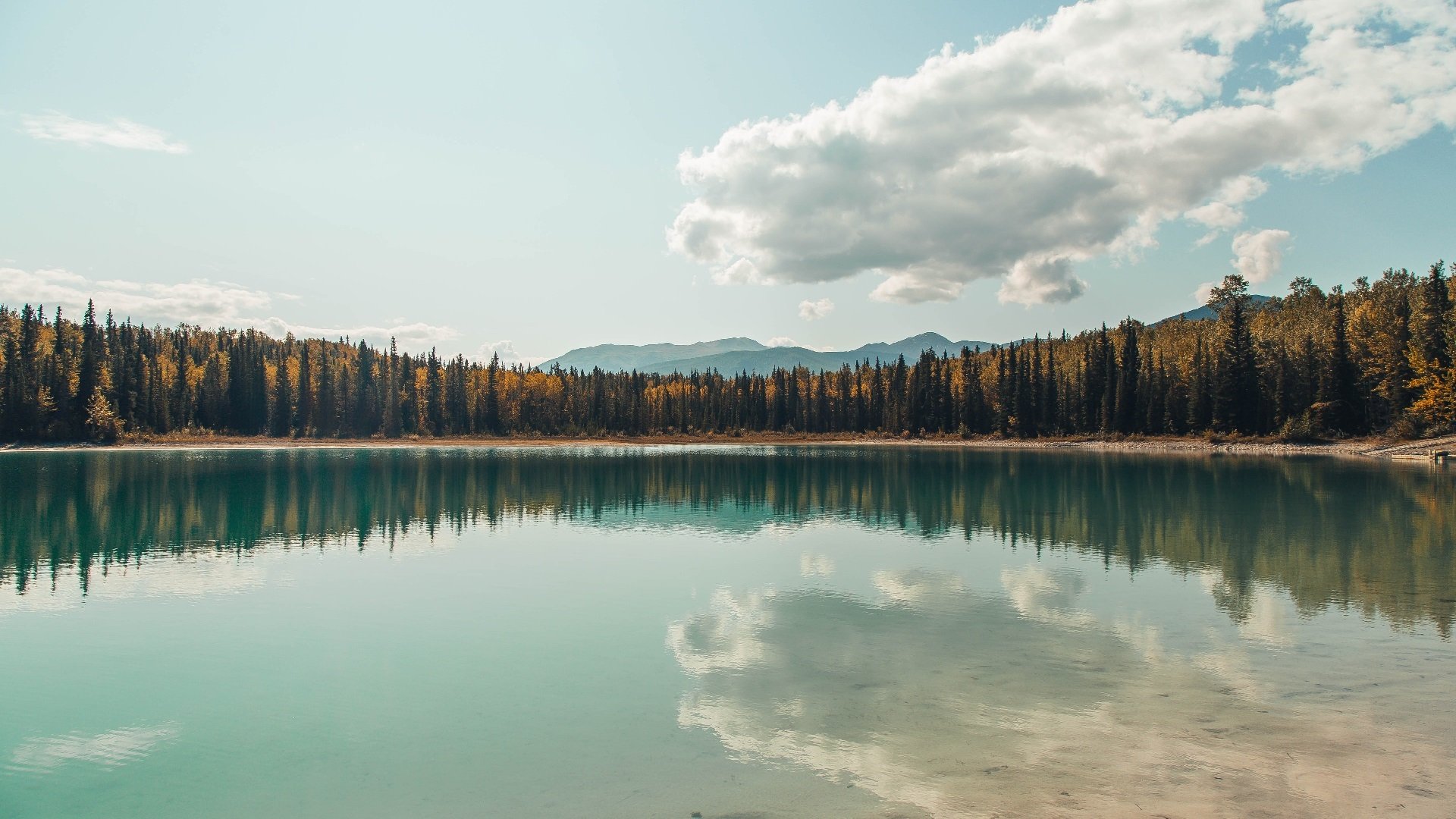 世俱杯决赛-戈麦斯德甲封神与南非逆袭,足球世界永不熄灭的逆转之火