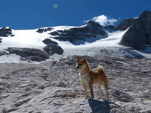 世俱杯奖金-火力全开!范弗利特领军北京队强势压制爵士