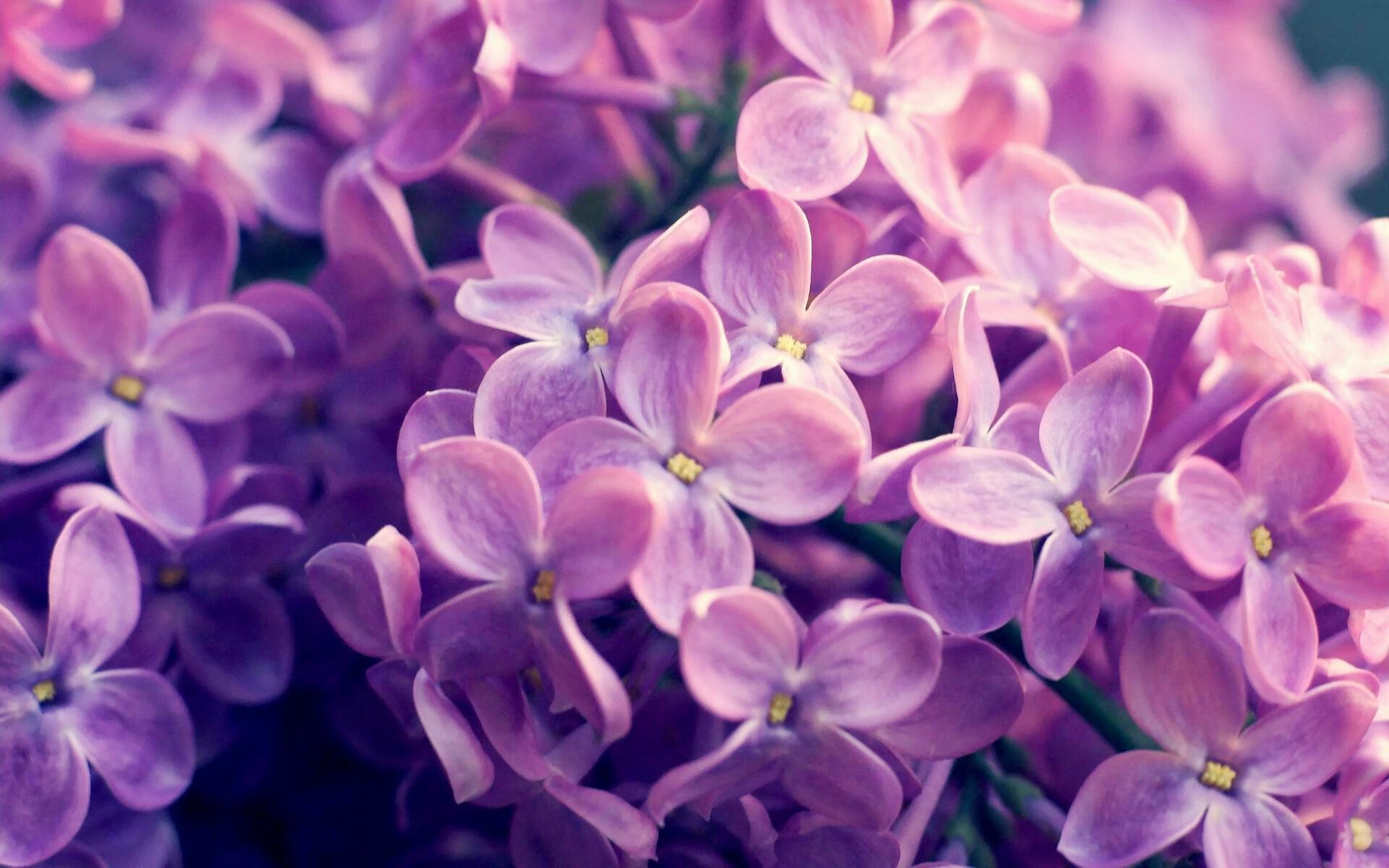 世俱杯赛程-国王淘汰赛惊险过关浙江队，拉文世界排名战独揽36分主宰赛场