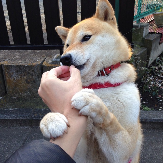 世俱杯改制-帝国的黄昏与巨星的黎明，当罗马铁蹄踏过潘帕斯草原