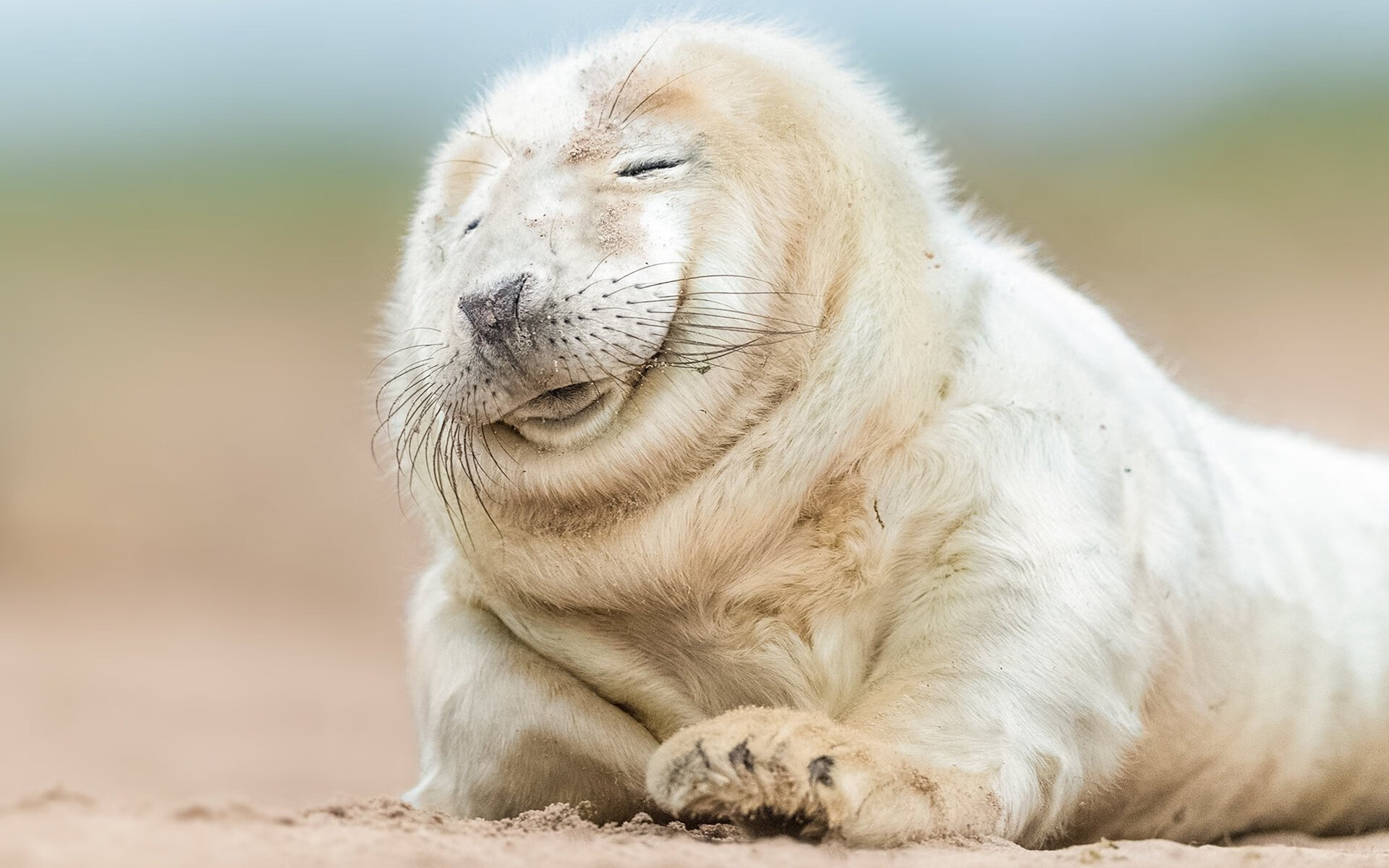 世俱杯赛程-东北虎吞噬奇才!塔图姆运筹帷幄,吉林上演绝地翻盘