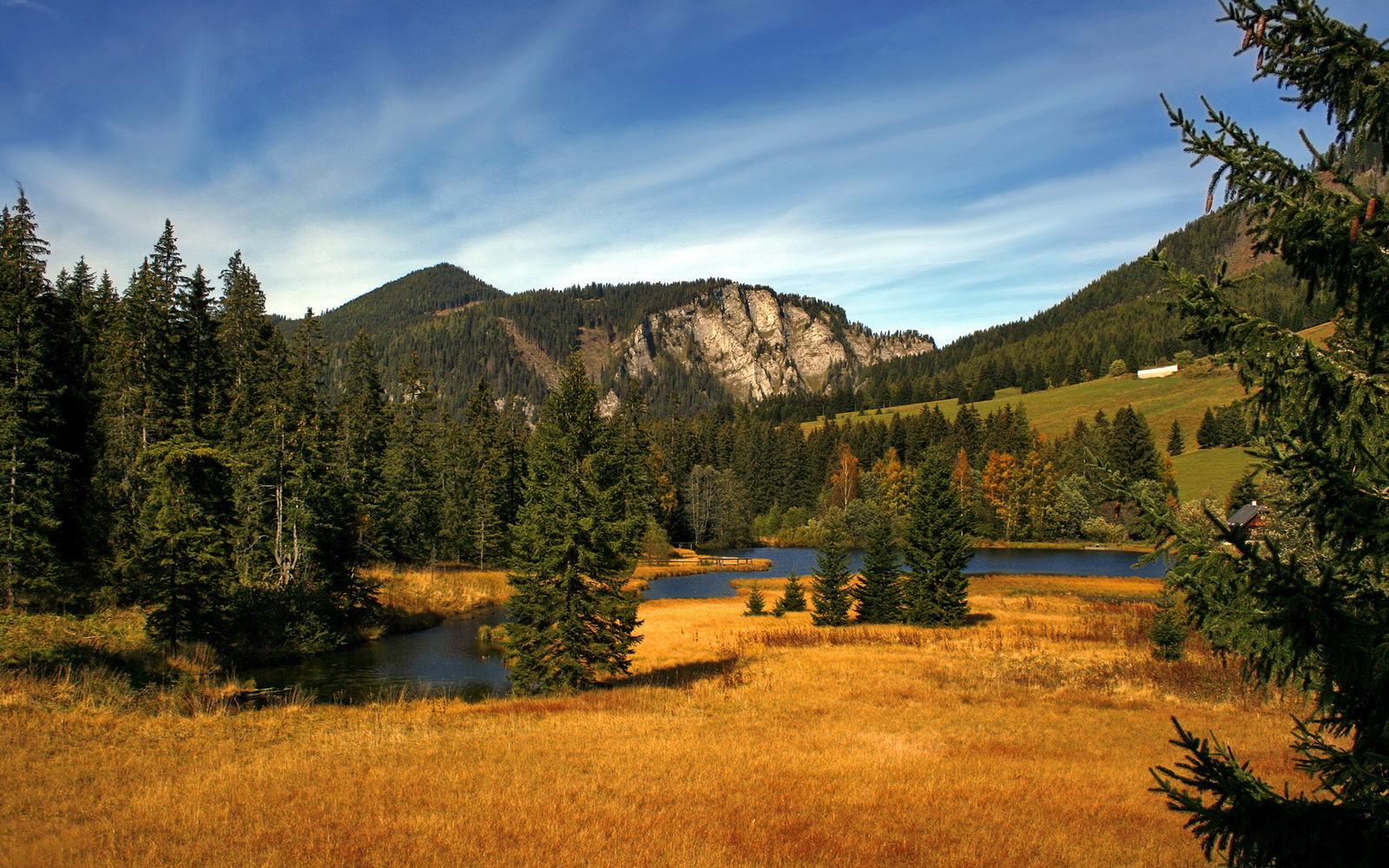 世俱杯赛程-39岁战神！詹姆斯率队客场逆转爵士，盐湖城见证不朽传奇