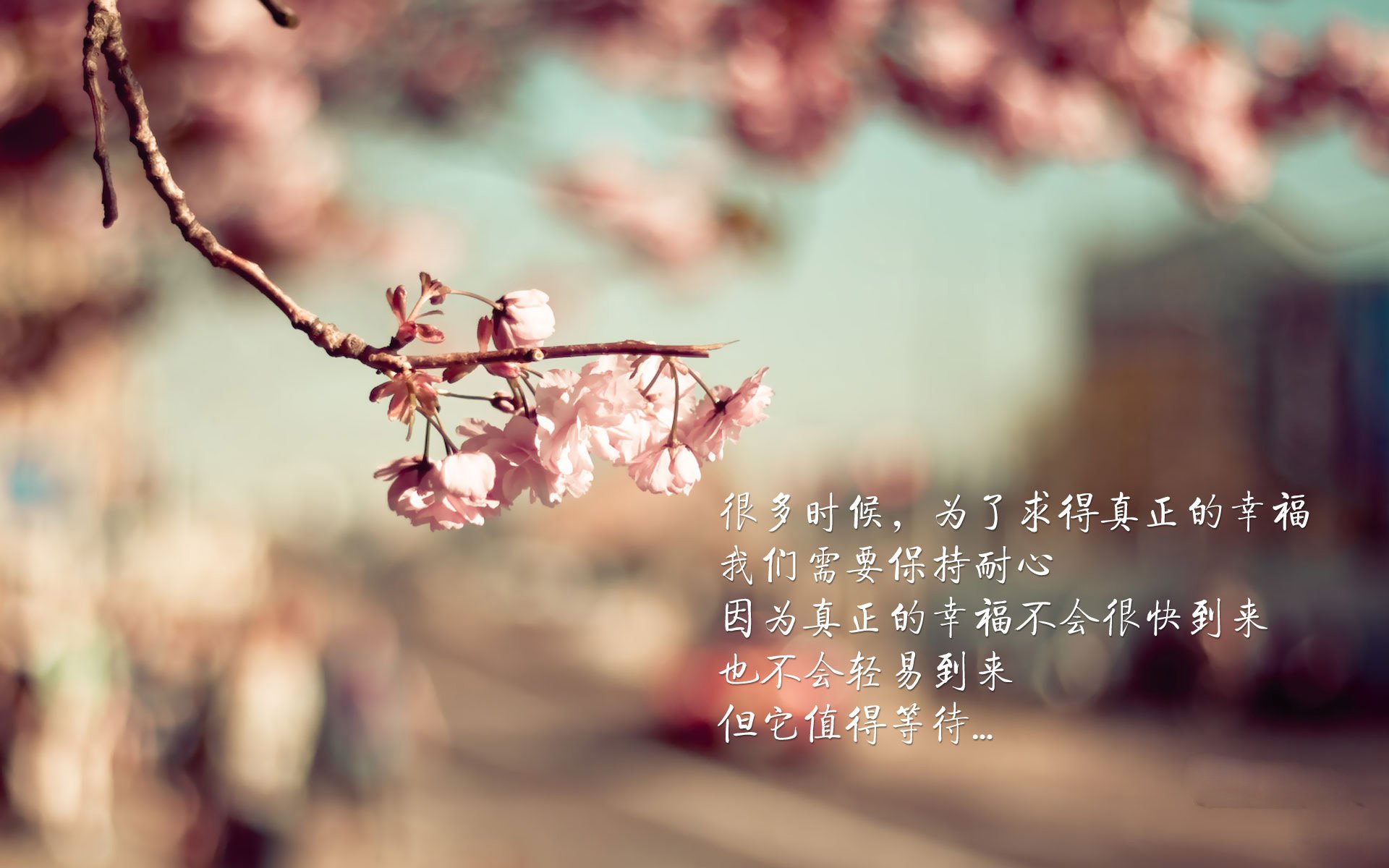 世俱杯参赛资格-节奏制胜，奥地利完美掌控玻利维亚，奥纳纳统治级数据闪耀全场