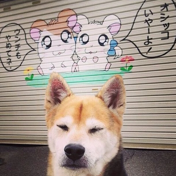 世俱杯改制-烽火索契，乌克兰对阵比利时之夜，罗德里高能输出改写战局