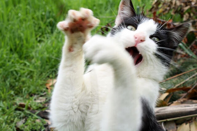 世俱杯参赛资格-逆境之战，从吉林加时苦胜到莫兰特抢七封神，英雄总在悬崖边诞生